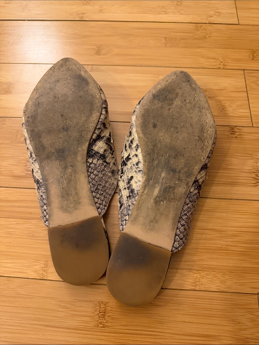 Steve Madden Snake-Print Pointed Mule - Black & Gray - Picture 2 of 5